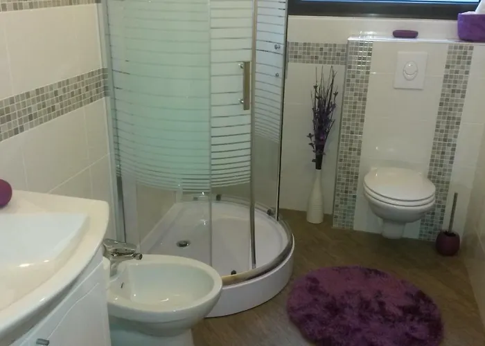 New Ziganto Z Near The With Terrace Apartment Ičići